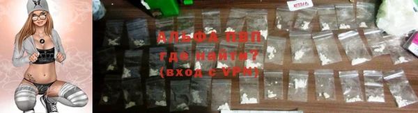 spice Белокуриха