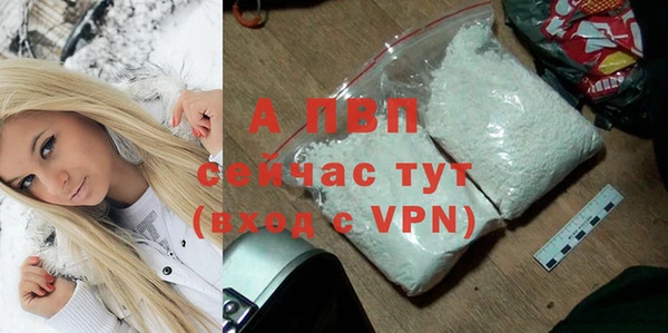 spice Белокуриха