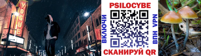 гидра ССЫЛКА  Курильск  Галлюциногенные грибы мицелий 